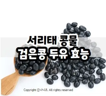 서리태 효능 콩물 만드는방법 수확시기 서리태콩 정보_17