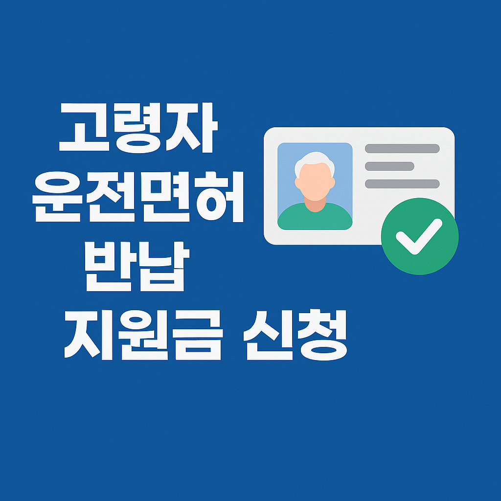 놓치면 손해! 실전 환급 시리즈 ⑰ 고령자 운전면허 반납 지원금 신청 방법