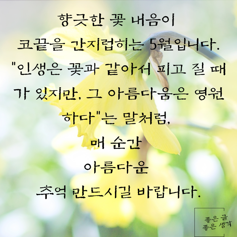 5월 인사말 문구 이미지 모음집 카톡 문자 메세지