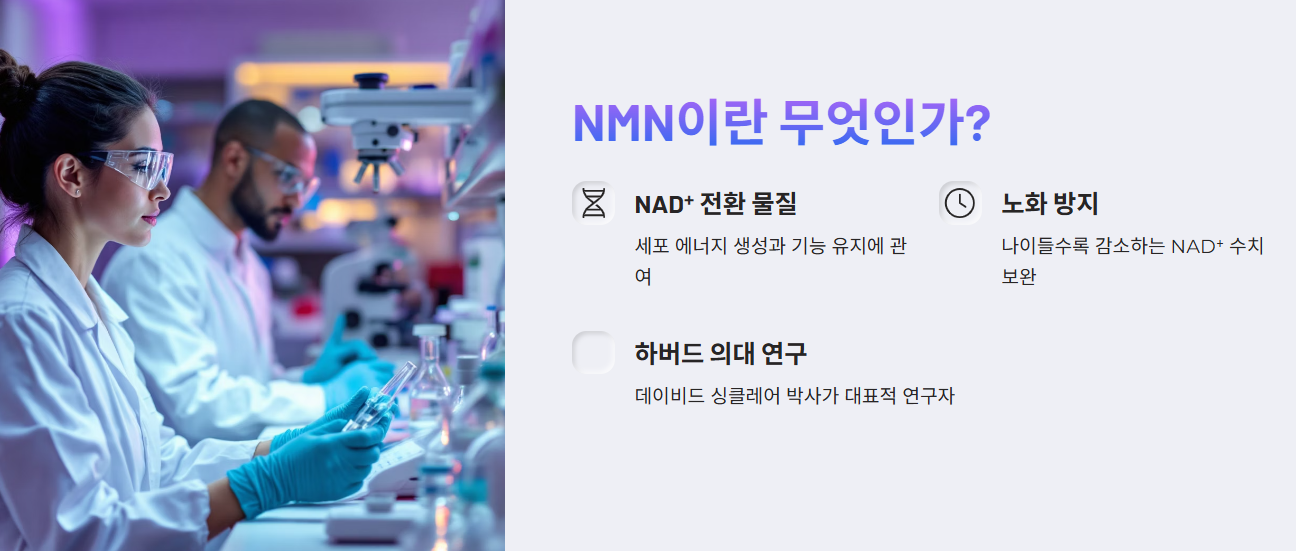 NMN, 무엇이고 왜 좋을까요?