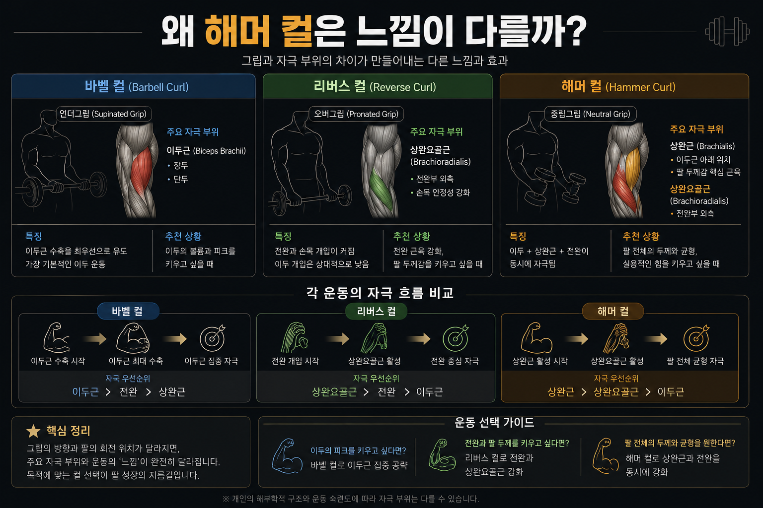 왜 해머 컬은 느낌이 다를까
