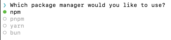 패키지 매니저 선택