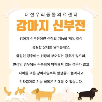 강아지 신부전에 좋은 음식 추천_2
