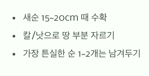 드디어 수확! 2년 차 봄의 기쁨