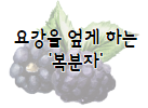 이 이미지를 클릭하시면 야관문 만큼이나 정력에 좋은 복분자의 효능에 관한 포스팅으로 이동 됩니다.