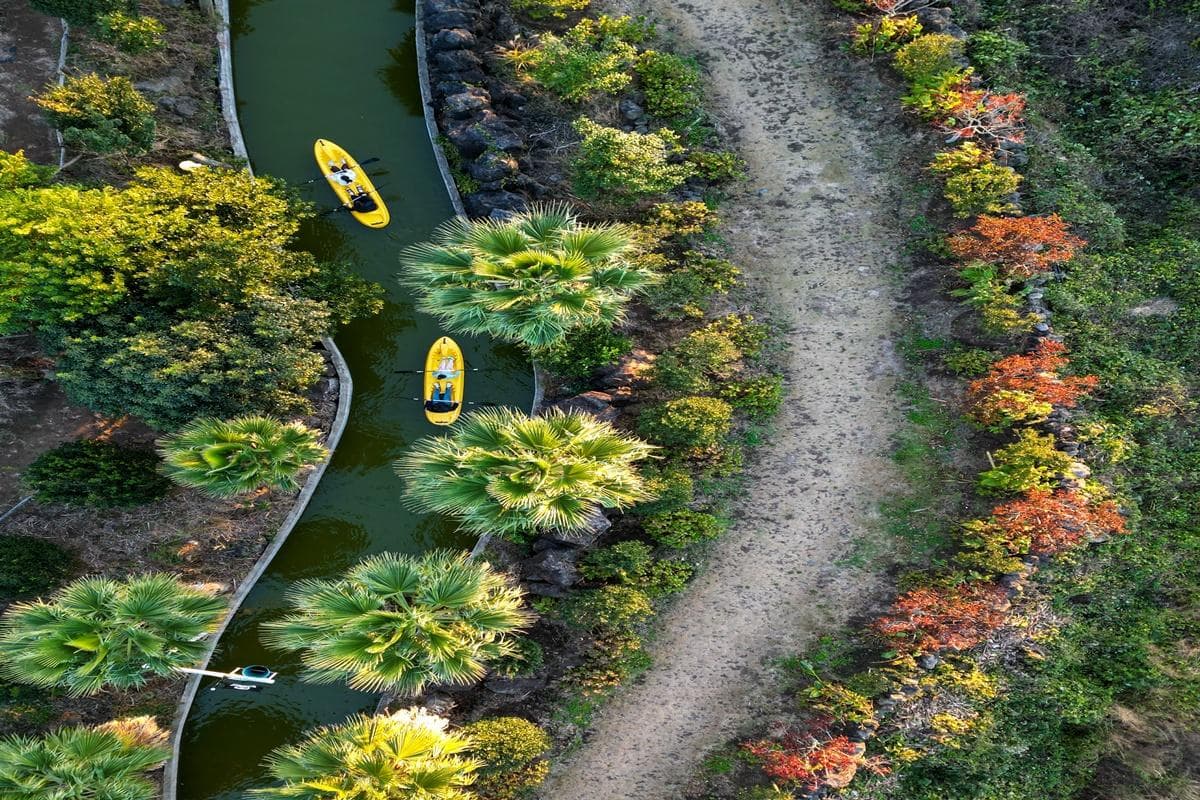 [5월 축제]2025 여름꽃 &amp; 능소화축제❘기간, 비체올린 예약, 사진영상 콘테스트 응모방법
