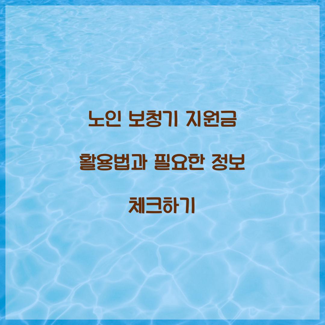 노인 보청기 지원금