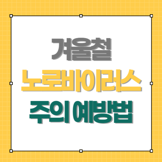 노로바이러스