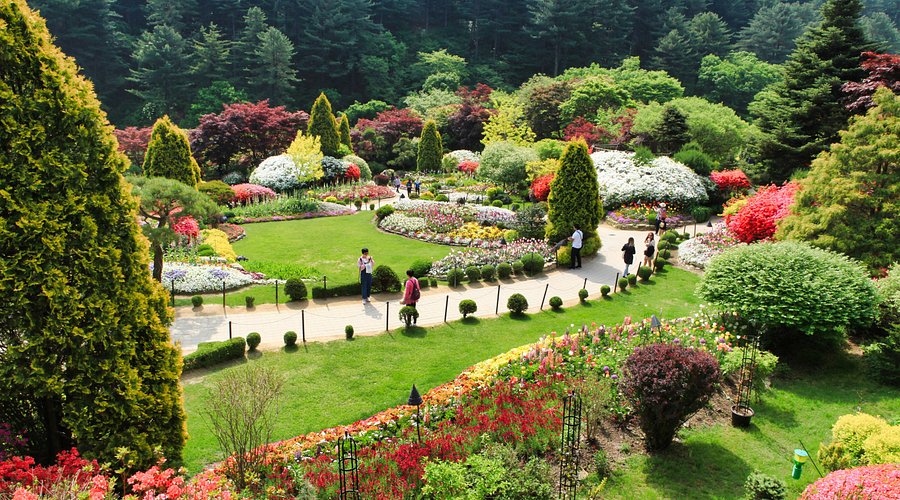 10월 데이트 여행지 아침고요수목원