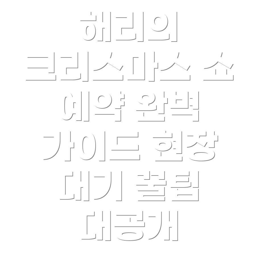 해리의 크리스마스 쇼