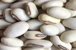작두콩