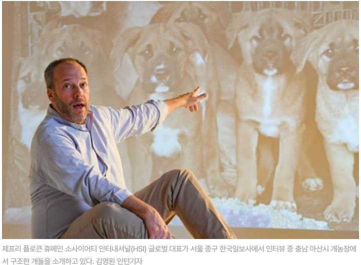 [강아지 사랑] 미국서 입양 급증하는 진돗개...왜