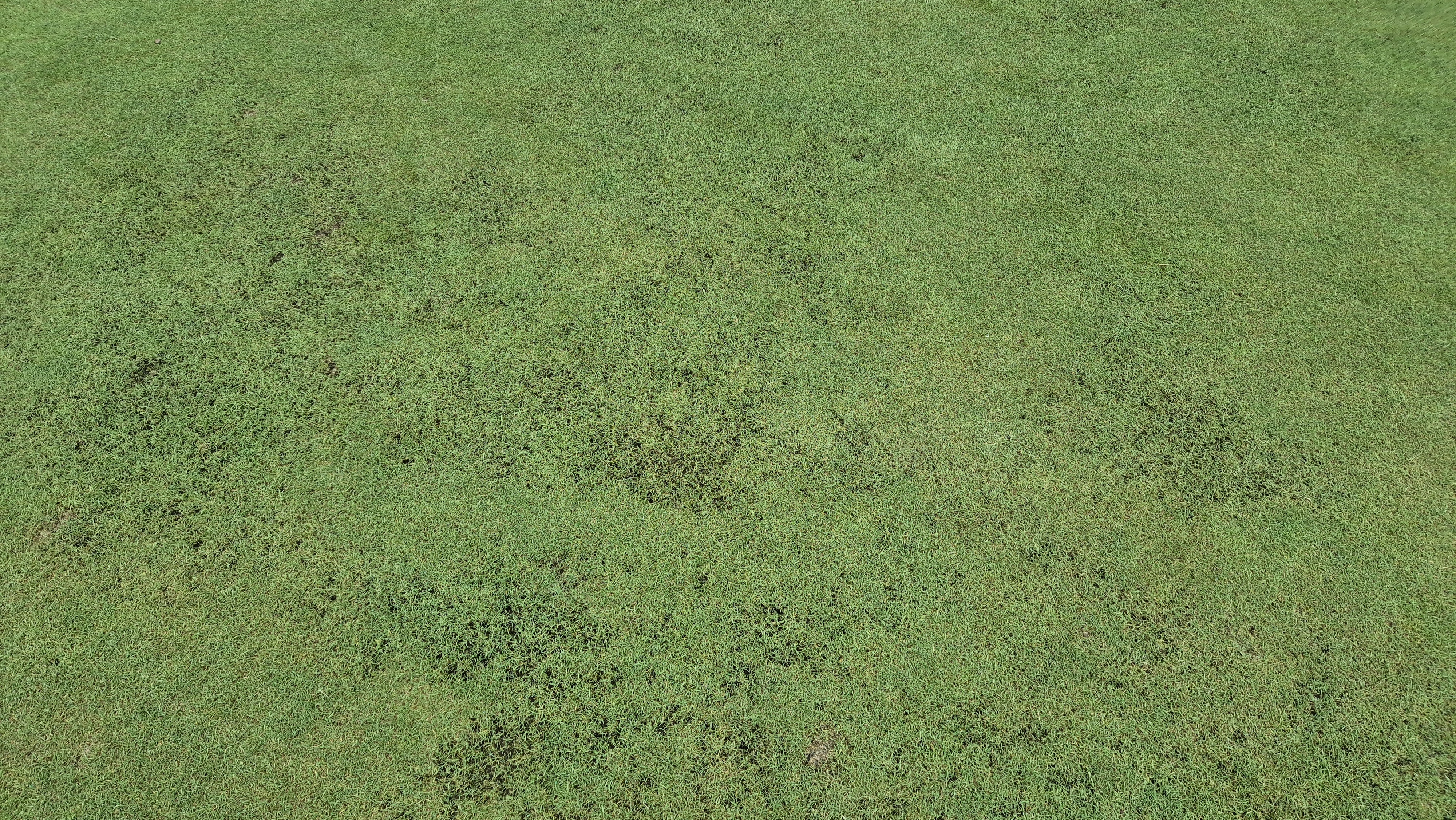 한림용인cc 다이아몬드-사파이어 코스 라운드 후기