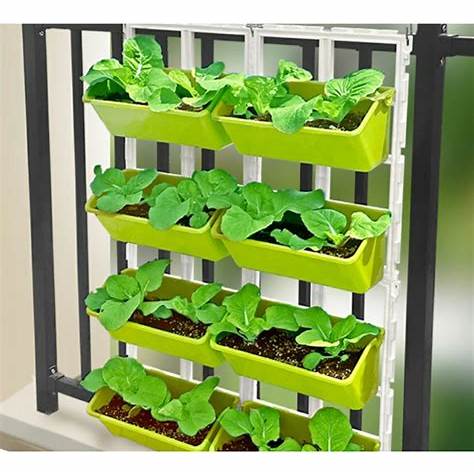 다용도 선반을 활용한 실내 채소 재배