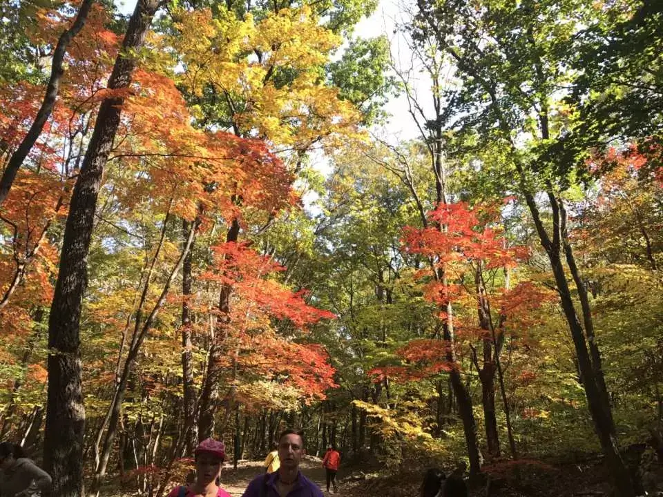 2024 설악산 단풍축제: 가을의 아름다움을 만끽하는 방법 🍂