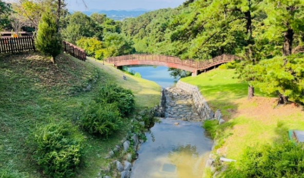 금성산 자연휴양림