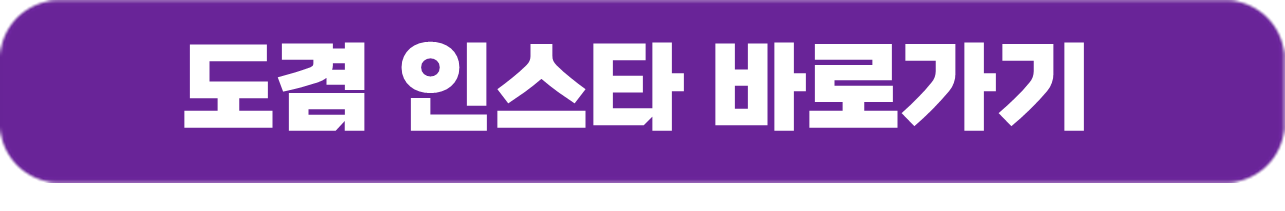 도겸 인스타