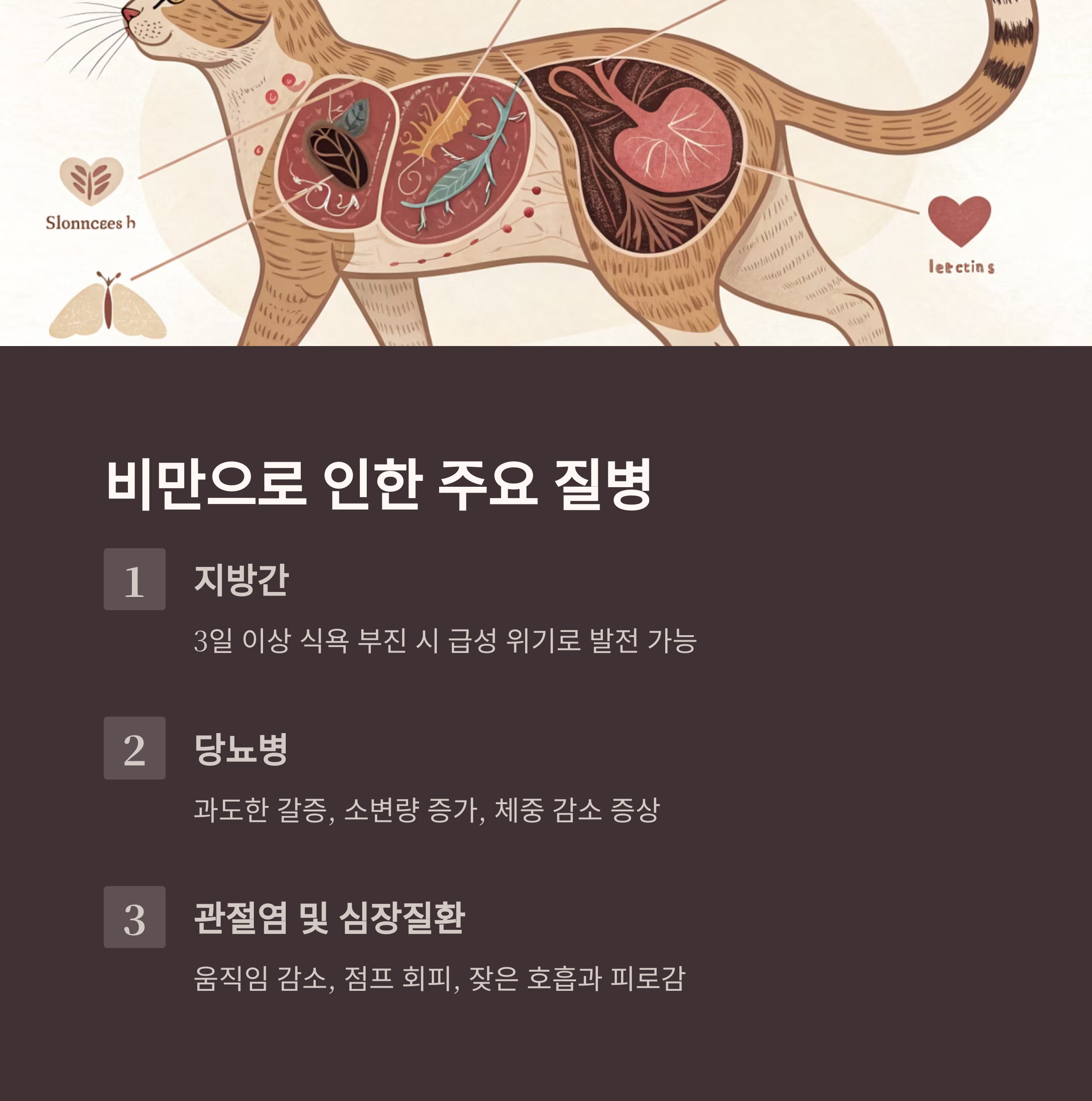 비만으로 인한 주요 질병