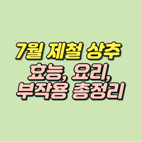 7월 제철음식 상추