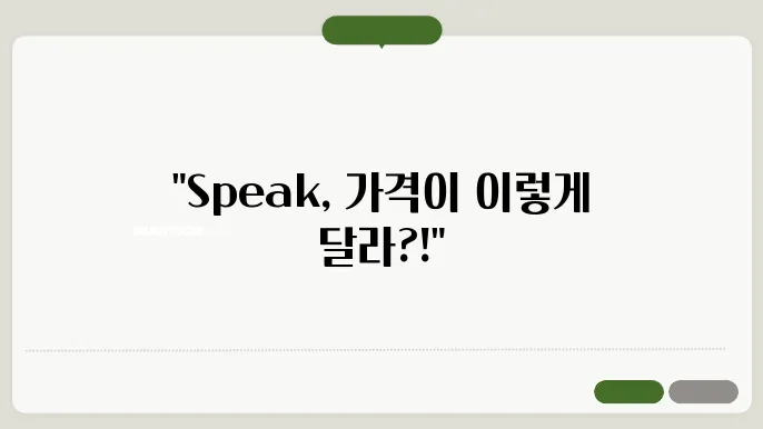 speak 가격 정보 총정리