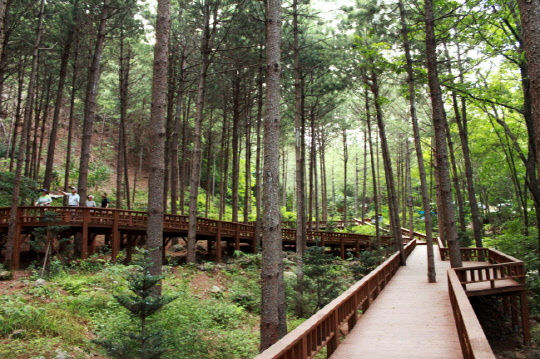 국립자연휴양림