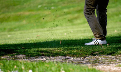 쇼골프 가양점 도봉점