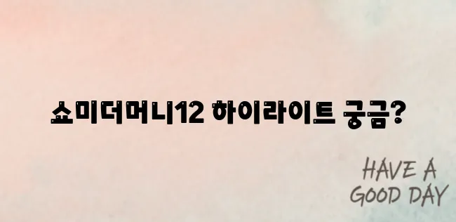 쇼미더머니12 다시보기 완벽 정리 출연진과 레전드 무대도 포함되어 있습니다!