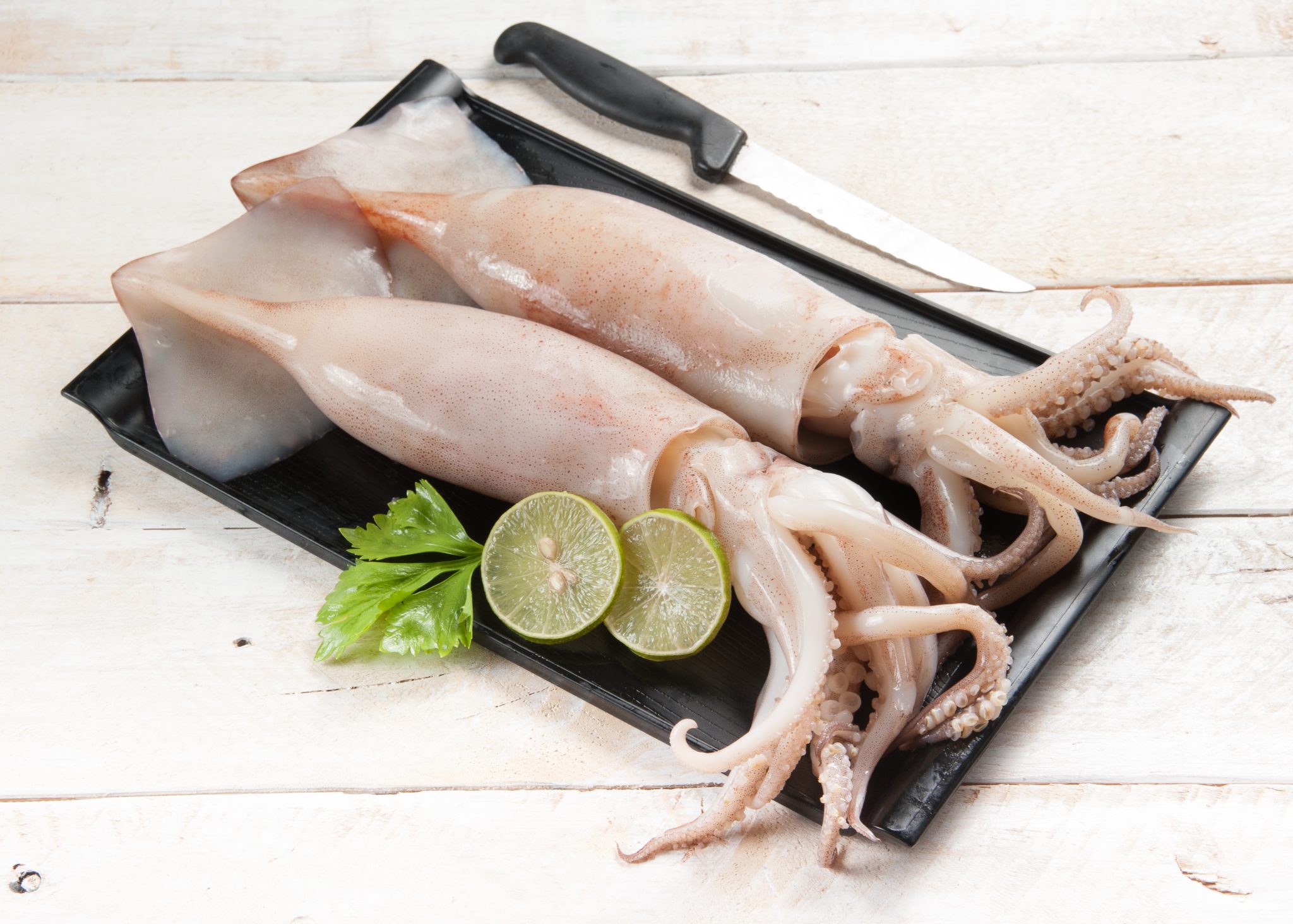 오징어 효능 및 부작용