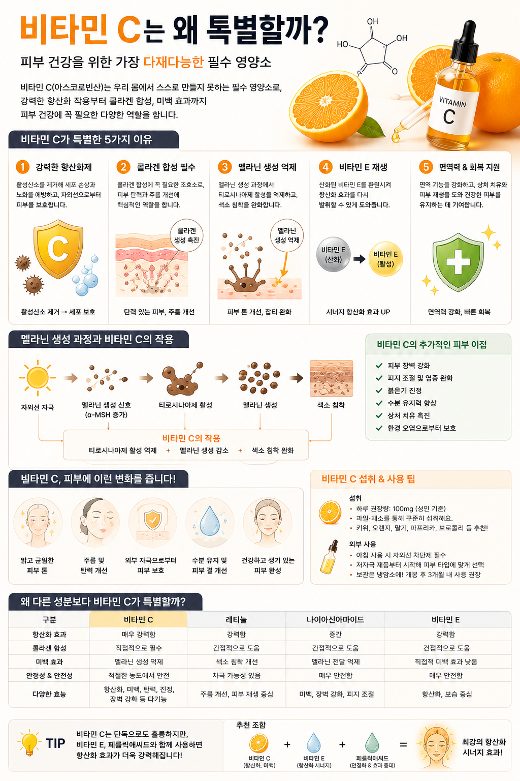 비타민c의 특별함