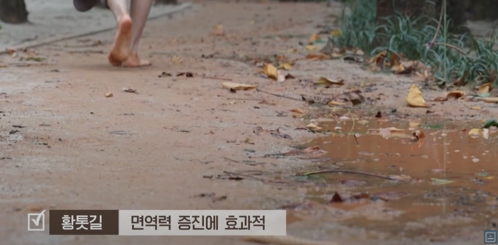 황토길-효능