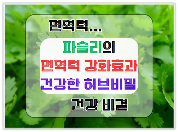 파슬리의 면역력 강화 효과: 건강한 허브의 비밀은?