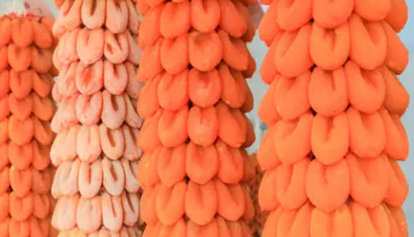 KBS 6์๋ด๊ณ ํฅ ๋ฌธ๊ฒฝ ์ฝ๋ํ์ฐ, ์ธ๊ฐ๊ณถ๊ฐ, ์์ดํ์ง, ์ ํต์์ด ์ด์ฐ์ 