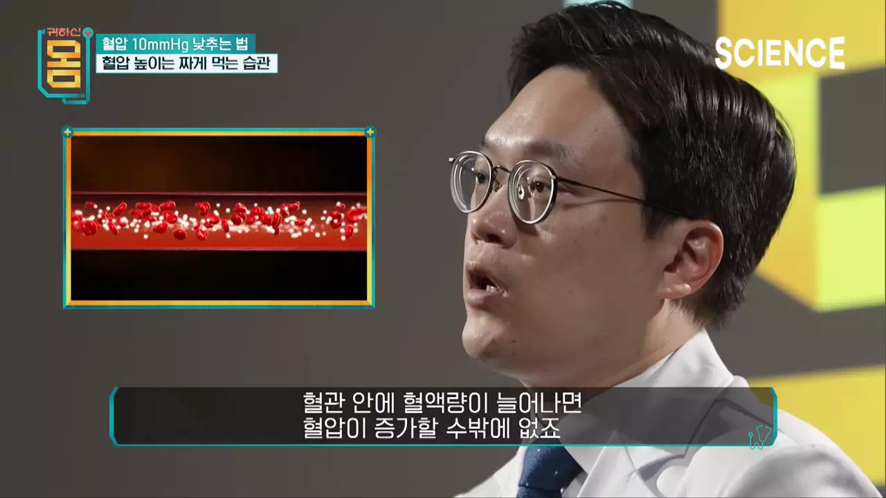 혈압-낮추는-식단-사이언스채널