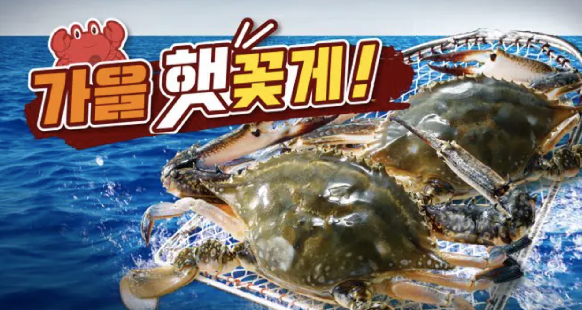 이마트 가을 햇꽃게 40% 할인