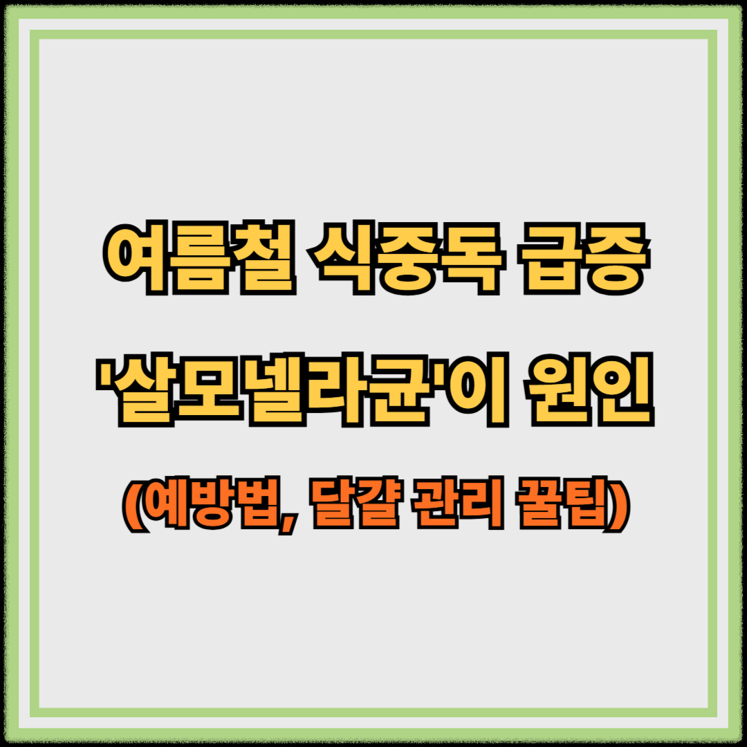 여름철 식중독 급증 '살모넬라균' 이 원인