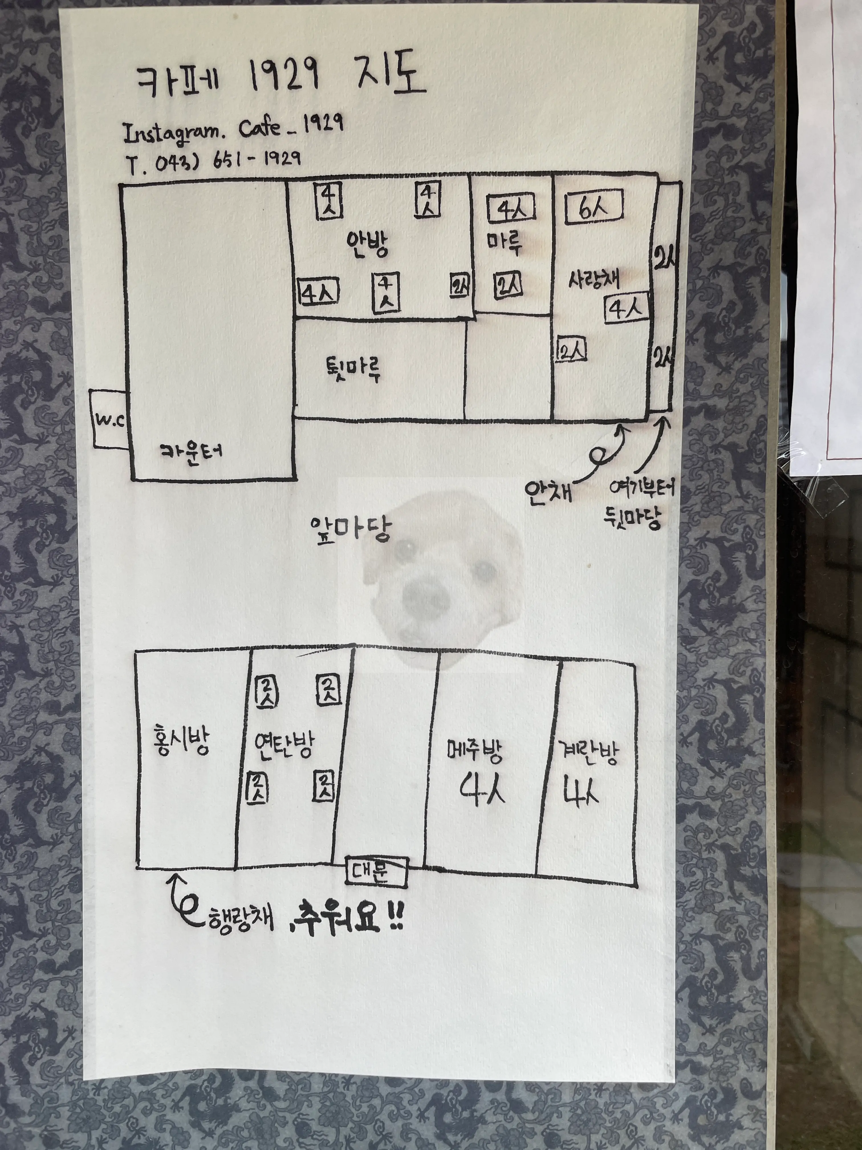 카페1929 와이파이 및 노키즈 존 참고할 것