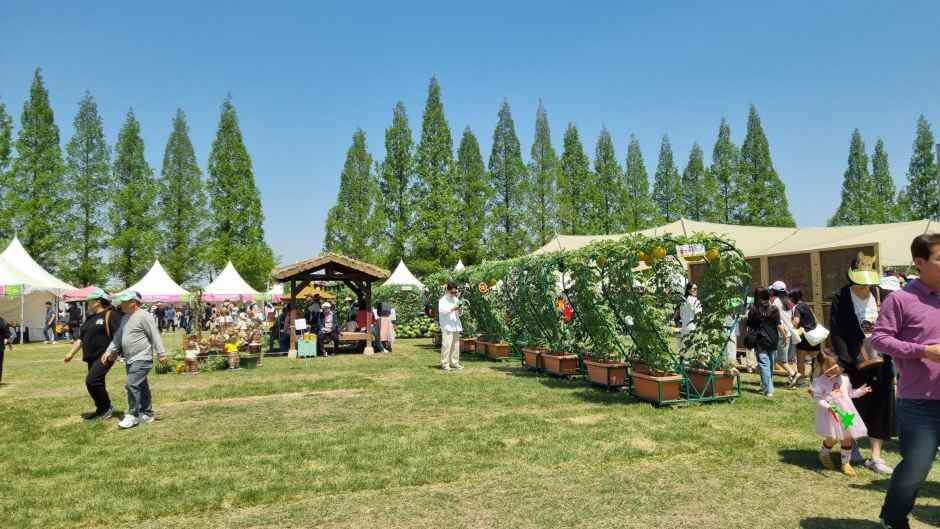 함안세계수박축제
