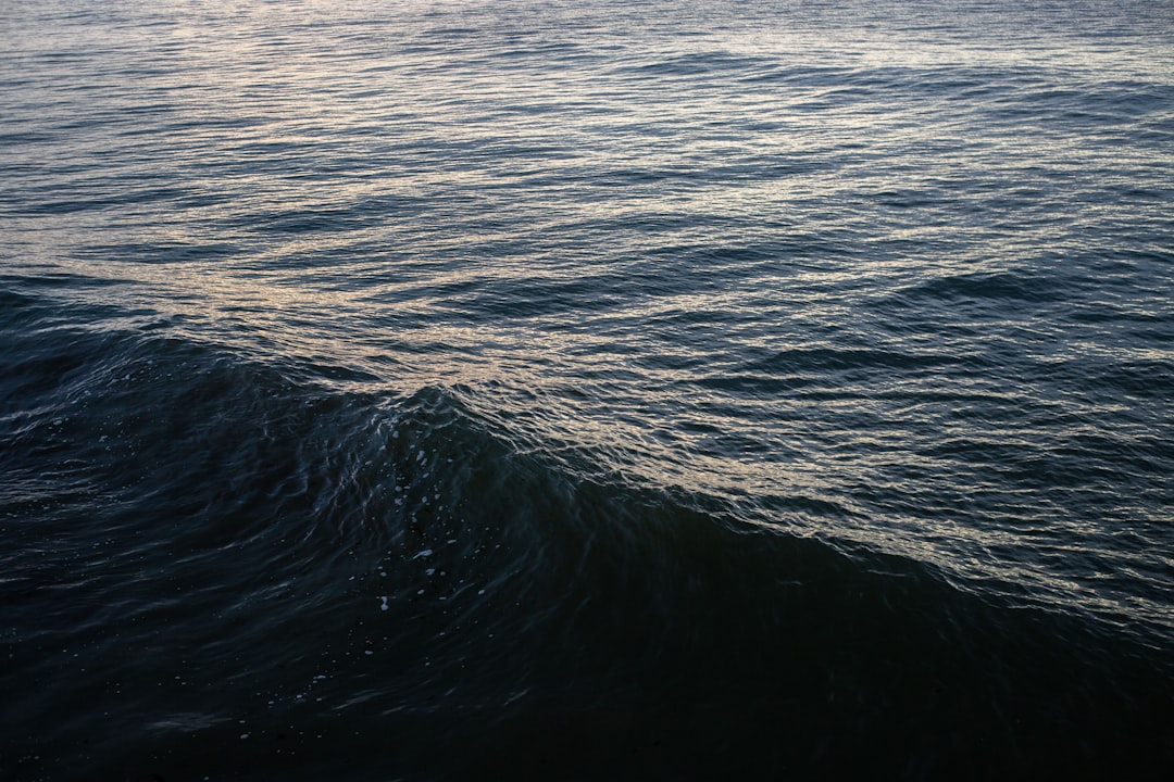 Dilution