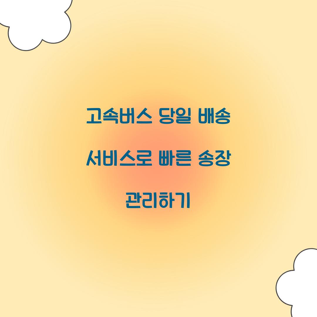 고속버스 당일 배송 서비스