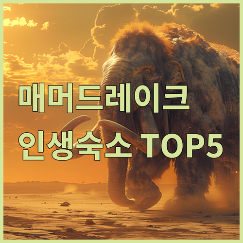 미국 매머드 레이크 숙소 추천 베스트..