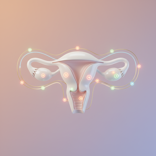 혹시 배란통? 생리통? 여성 호르몬이 보내는 신호