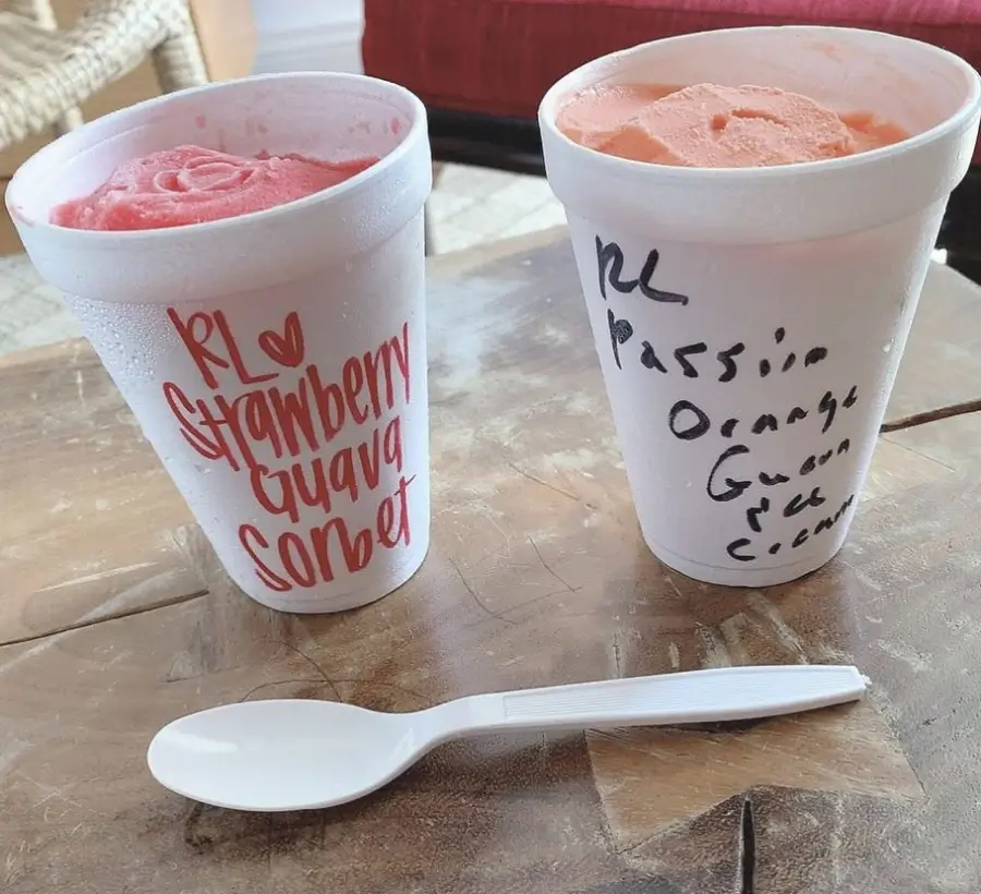 various_sorbet