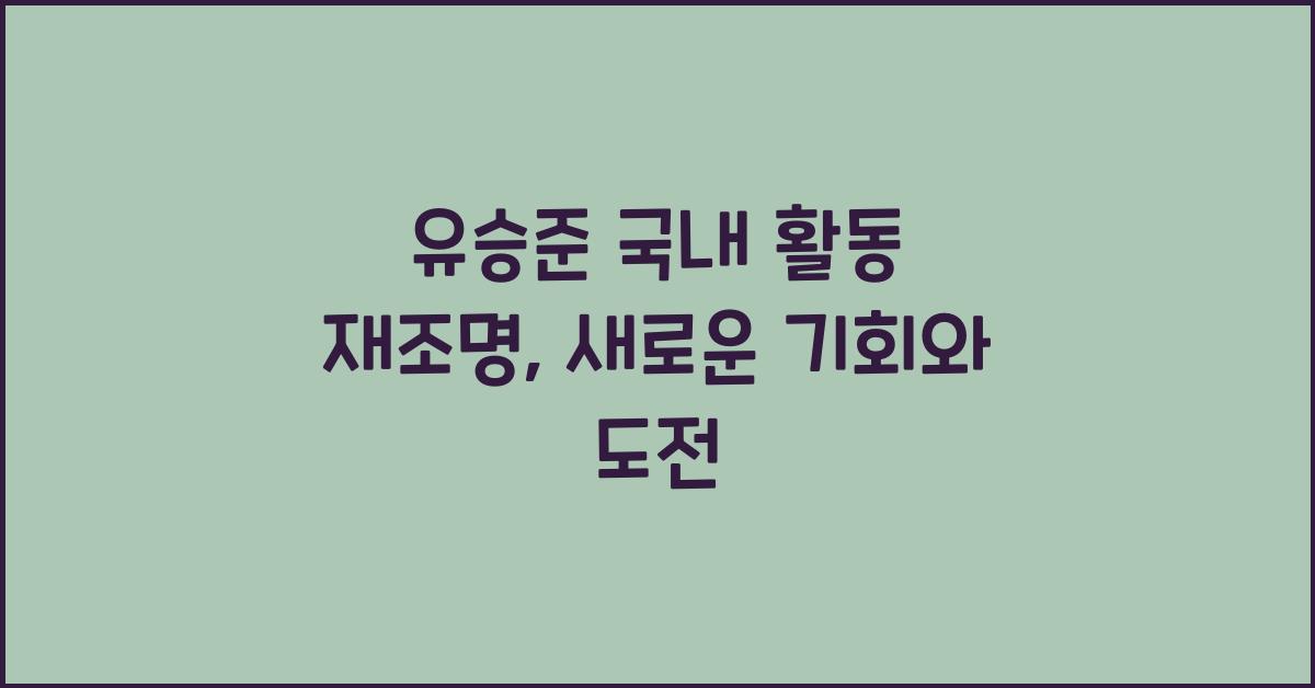 유승준 국내 활동