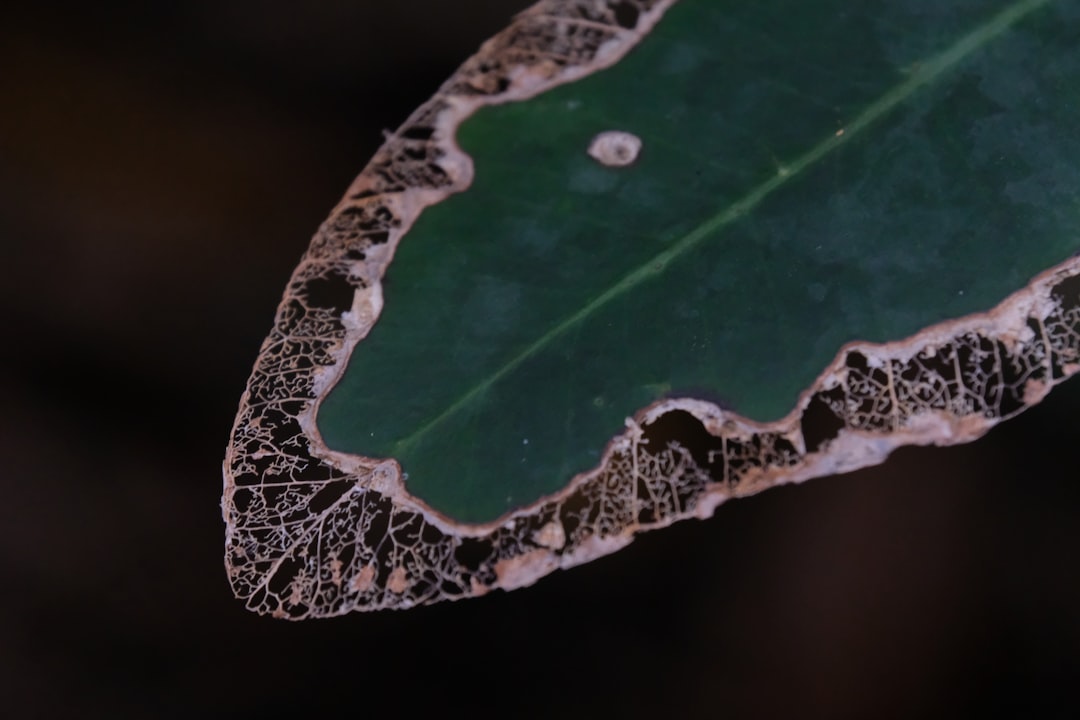 Humidity