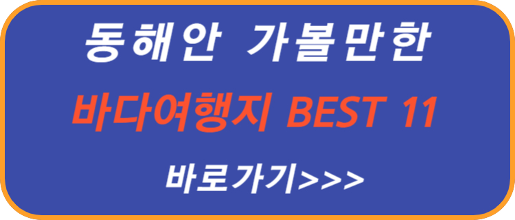 동해안-가볼만한-여행지