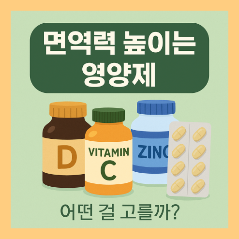 면역력 높이는 영양제 고르는 방법