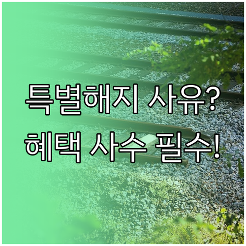 청년도약계좌 중도 해지 시 혜택 상실..