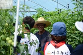 농촌 일자리 구하기