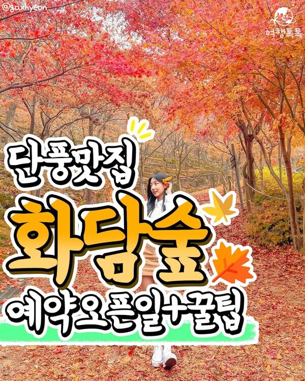 2026년 화담숲 가을 단풍 예약
