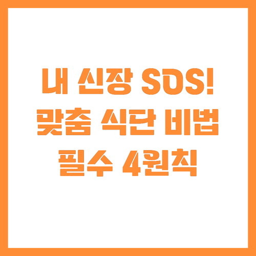 내 신장 상태별 맞춤 식단! 건강한 ..